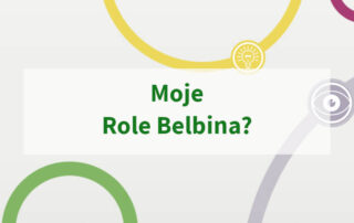 Moje Role Belbina?