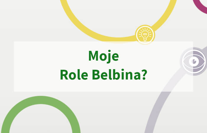 Moje Role Belbina?