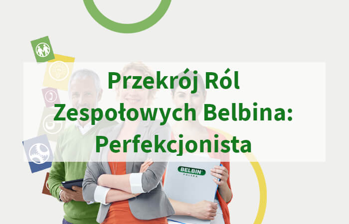 Przekrój Ról Zespołowych Belbina Perfekcjonista