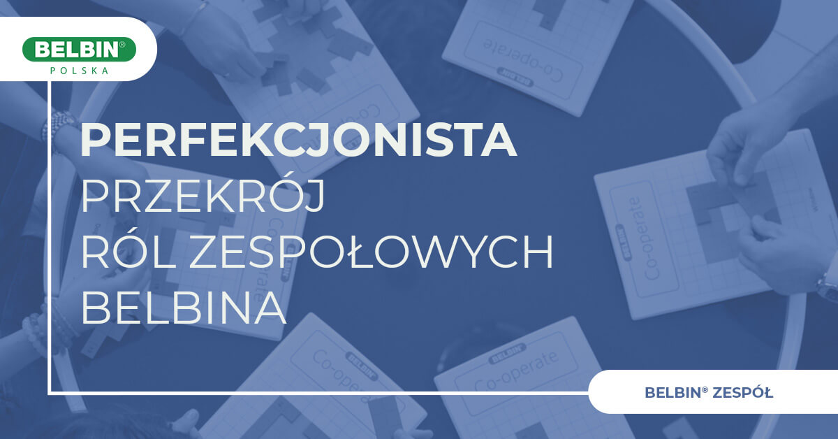 Przekrój Ról Zespołowych Belbina Perfekcjonista Przekrój Ról Zespołowych Belbina Perfekcjonista