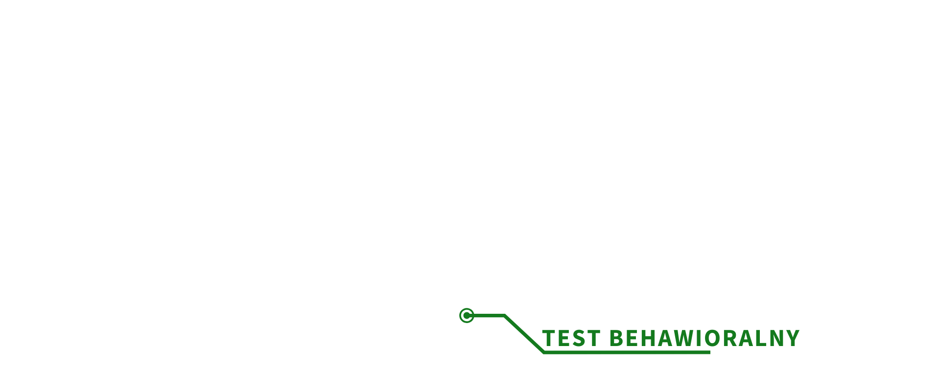 Co wyróżnia Test Belbina - test behawioralny